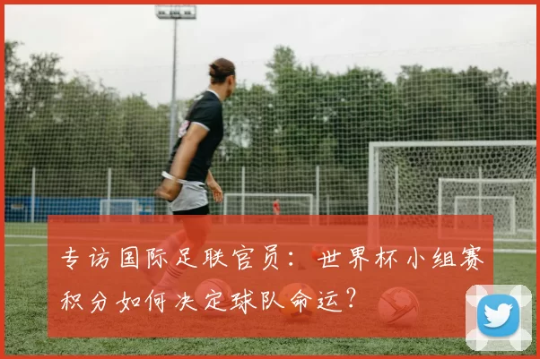 专访国际足联官员:世界杯小组赛积分如何决定球队命运?