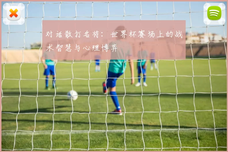 对话散打名将：世界杯赛场上的战术智慧与心理博弈