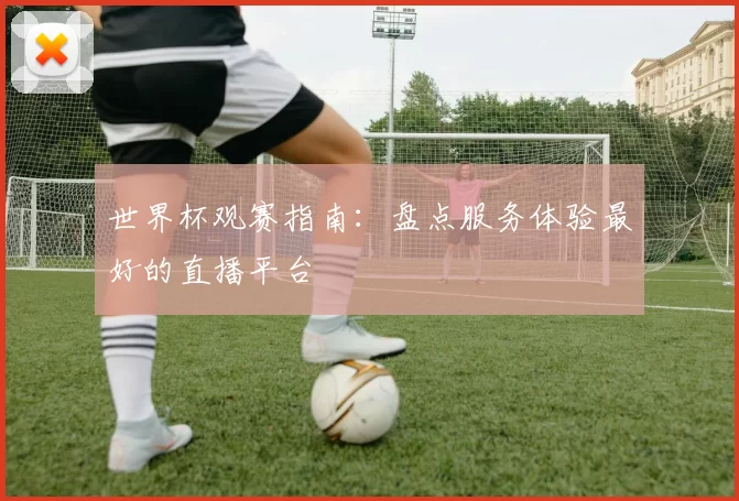 世界杯观赛指南:盘点服务体验最好的直播平台