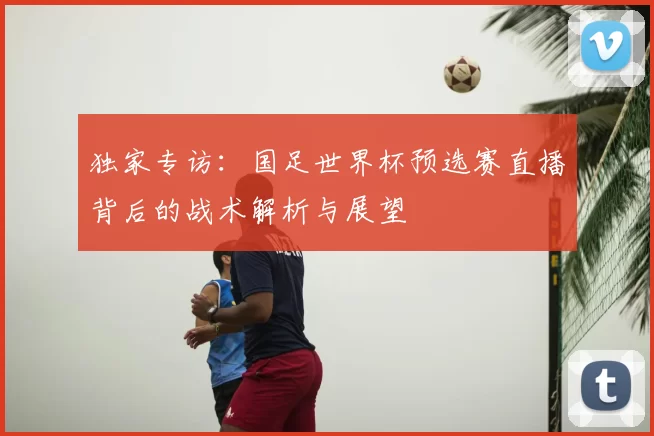 独家专访:国足世界杯预选赛直播背后的战术解析与展望
