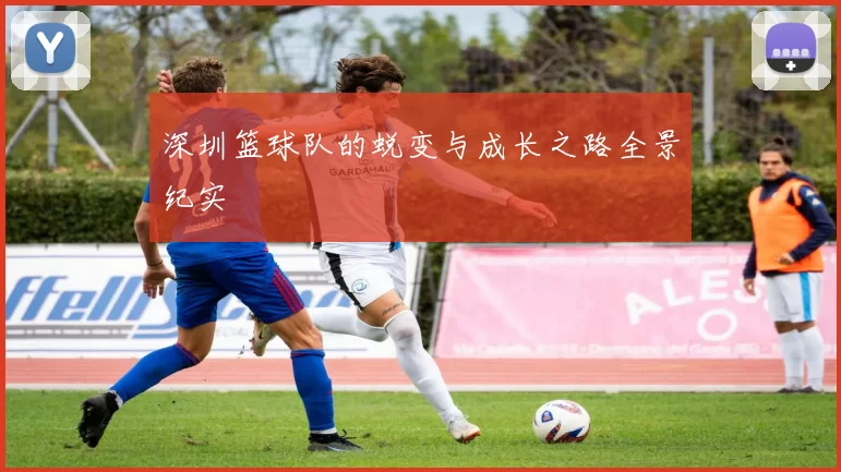 深圳篮球队的蜕变与成长之路全景纪实