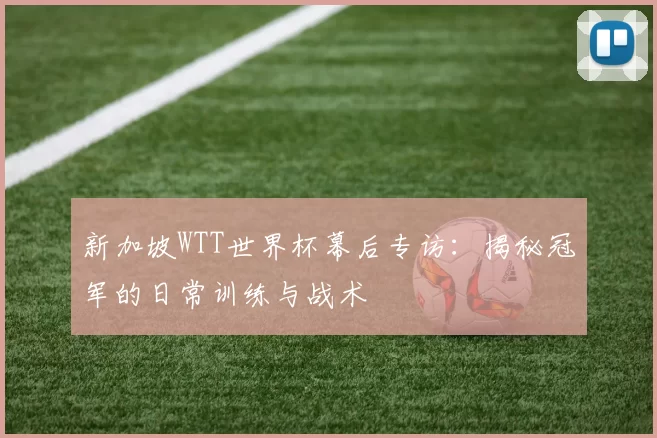 新加坡WTT世界杯幕后专访:揭秘冠军的日常训练与战术