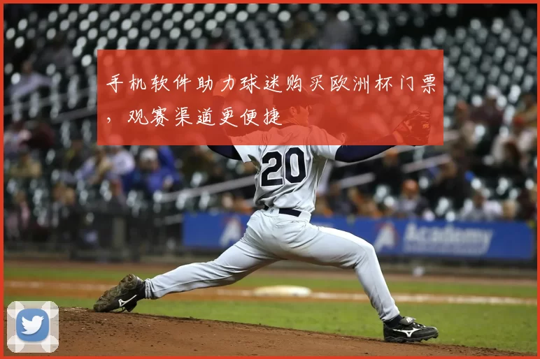 手机软件助力球迷购买欧洲杯门票,观赛渠道更便捷