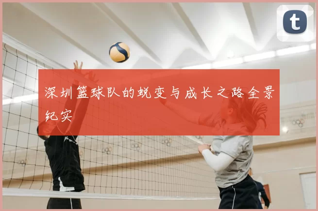 深圳篮球队的蜕变与成长之路全景纪实